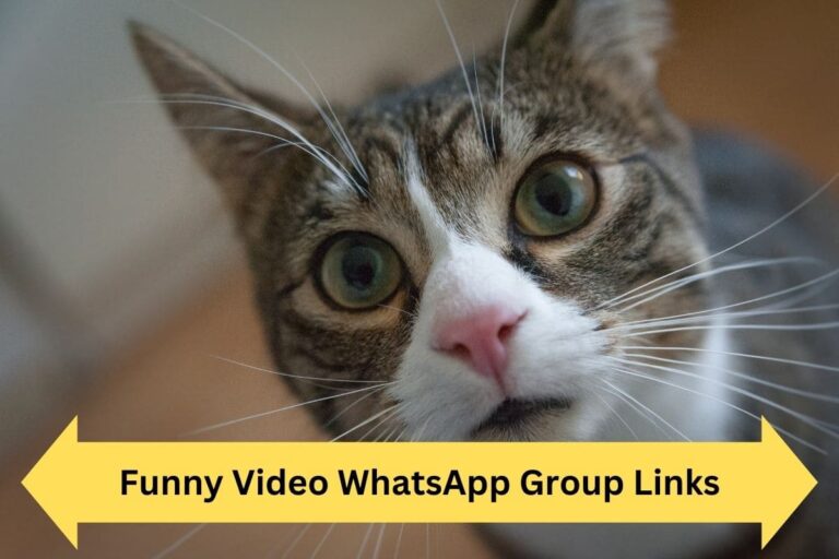 Funny Video WhatsApp Group Links